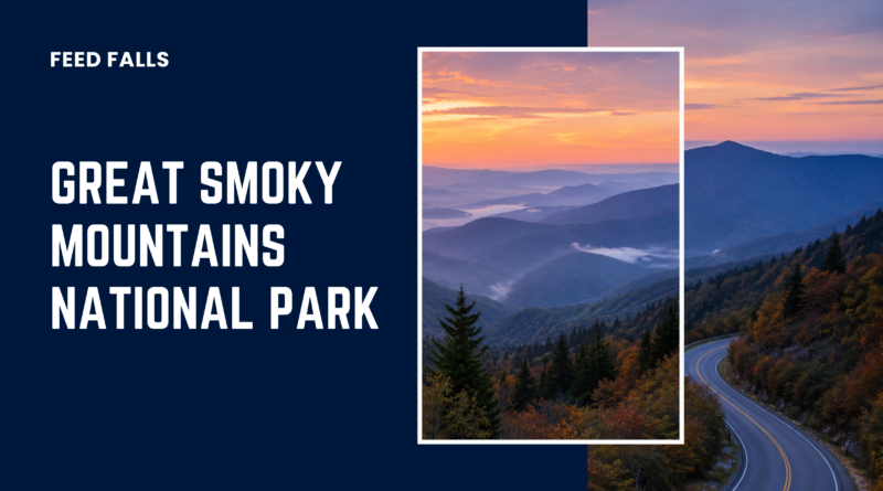 Great Smoky Mountains National Park: What to Know Before You Visit
